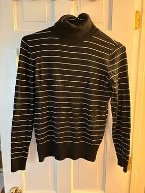 Ann Taylor Striped Turtleneck Sweater